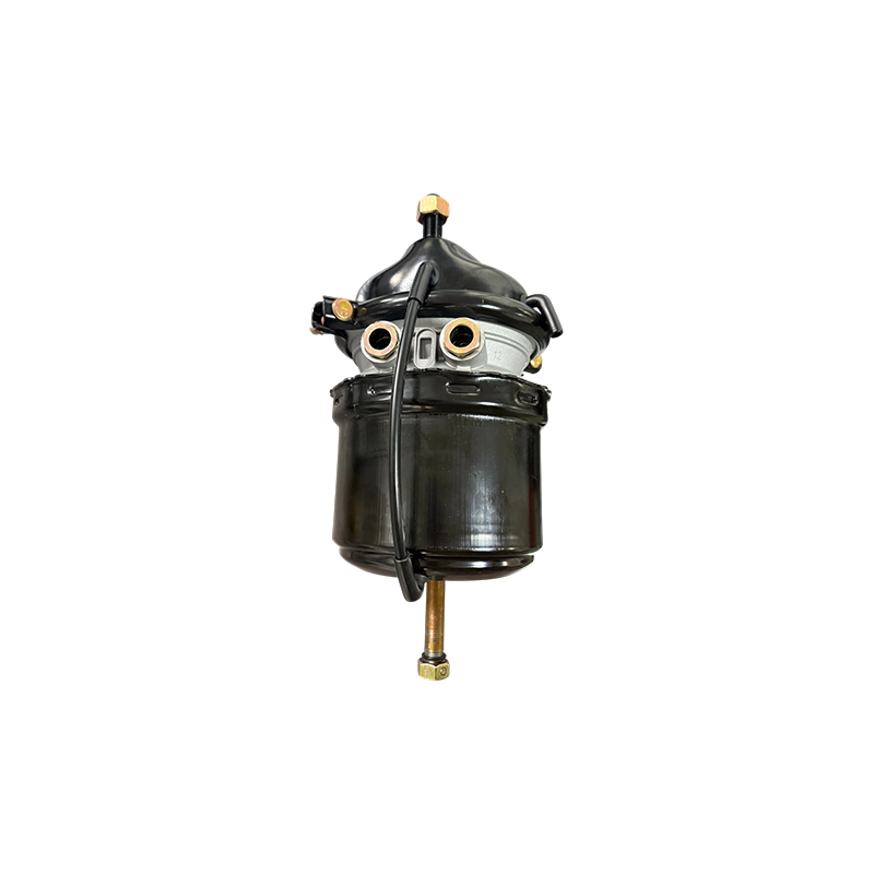 Voss가 포함된 T2424DP 쇼트