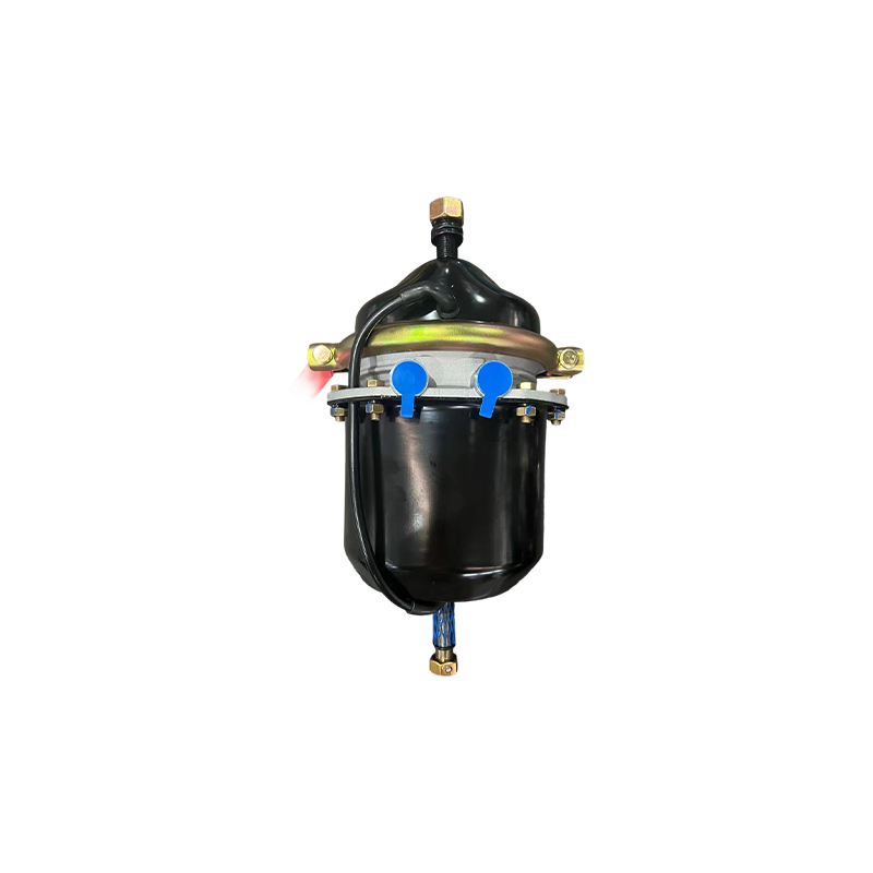 Voss가 포함된 T2424DP 쇼트